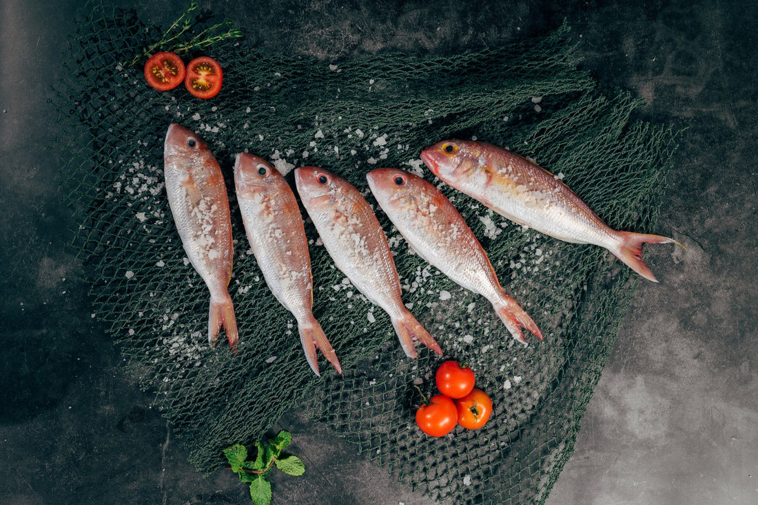 Alimentos que contienen yodo: Los mejores consejos para los alimentos que contienen yodo