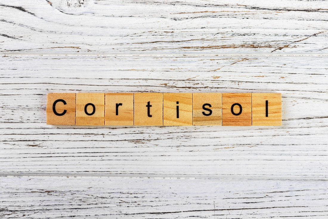 Cortisol: ¿qué es y por qué es importante?