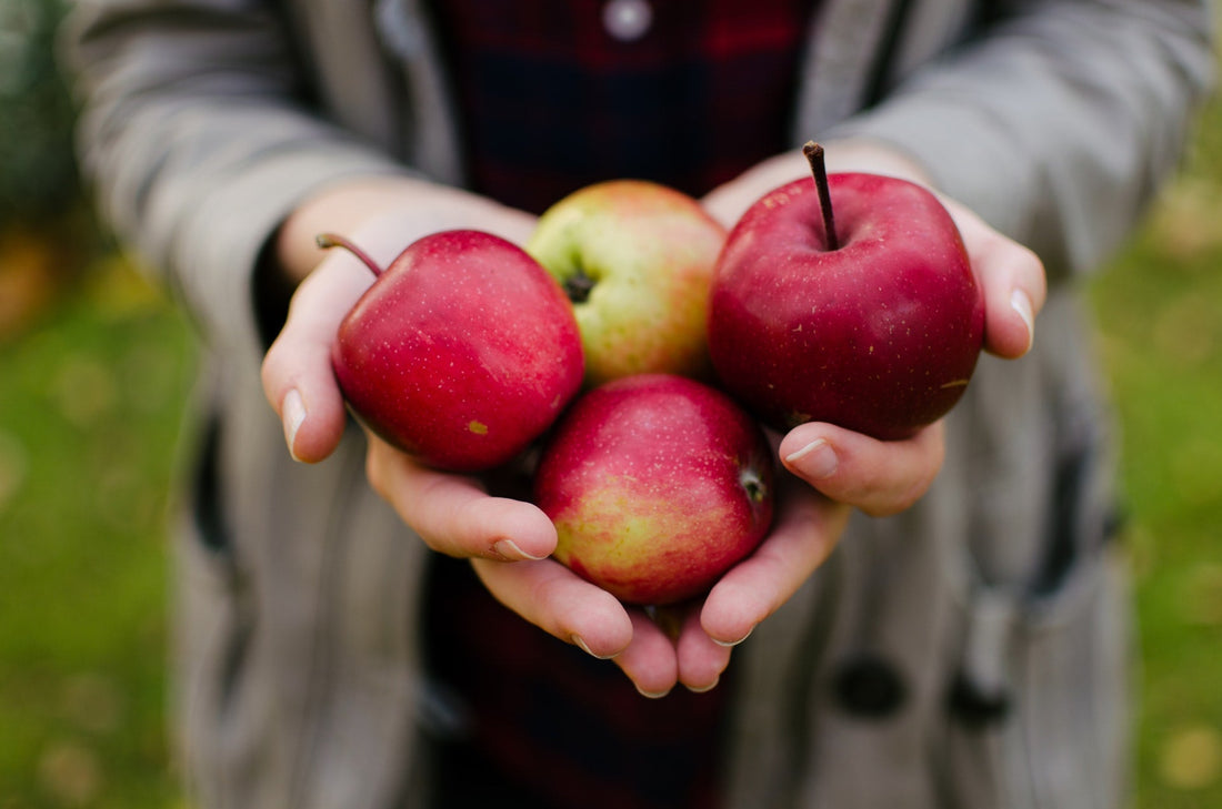 Calorías de las manzanas: las preguntas y respuestas más importantes.