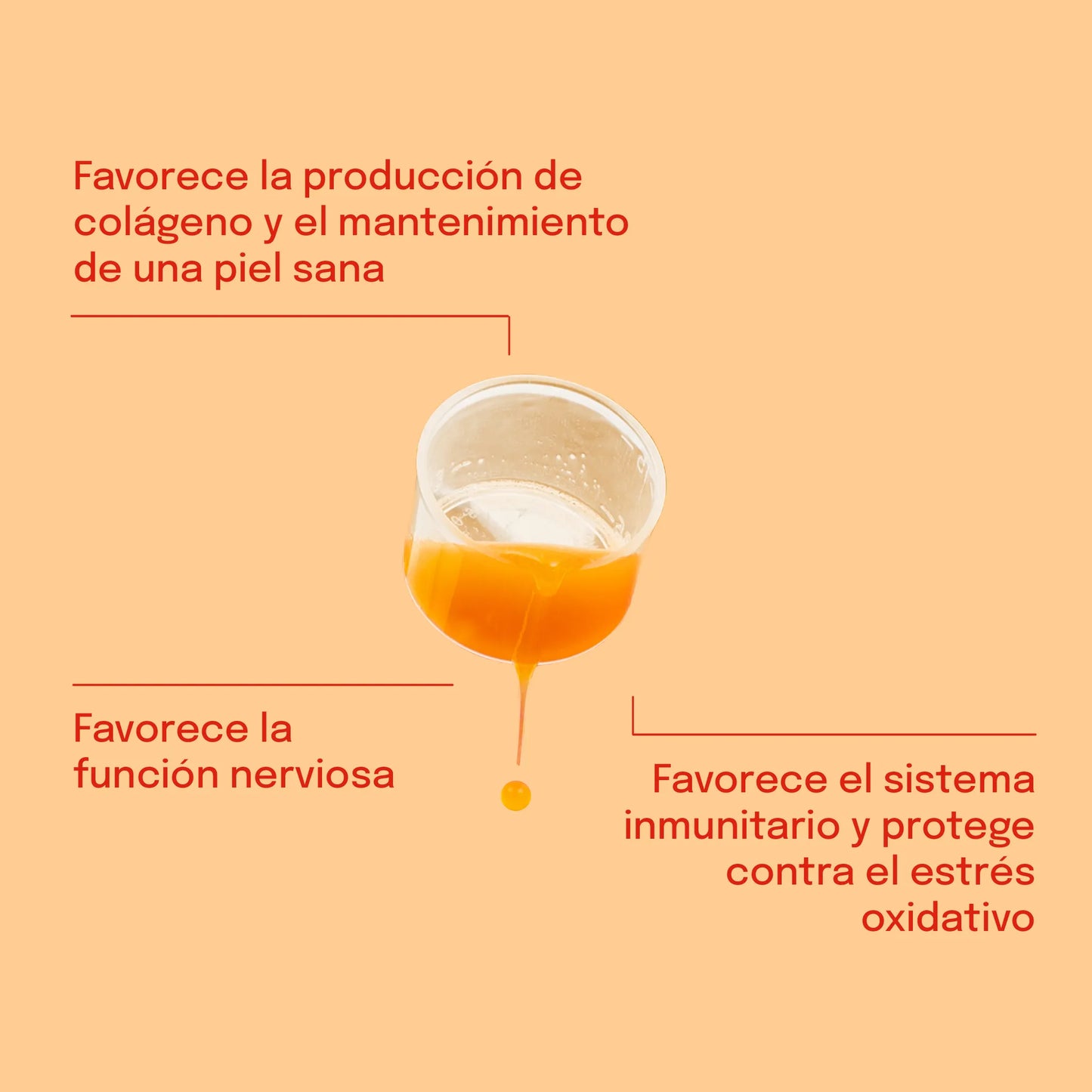 3POR2: Vitamina C